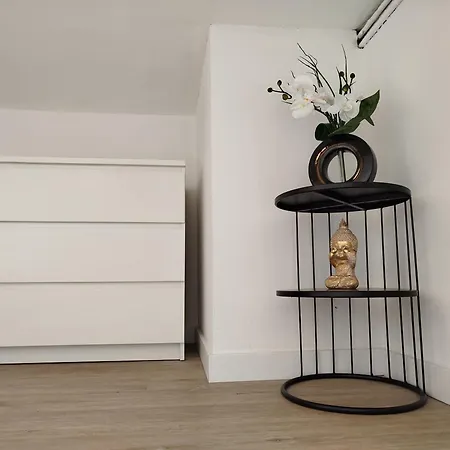 Appartement Mezzanine Cannes